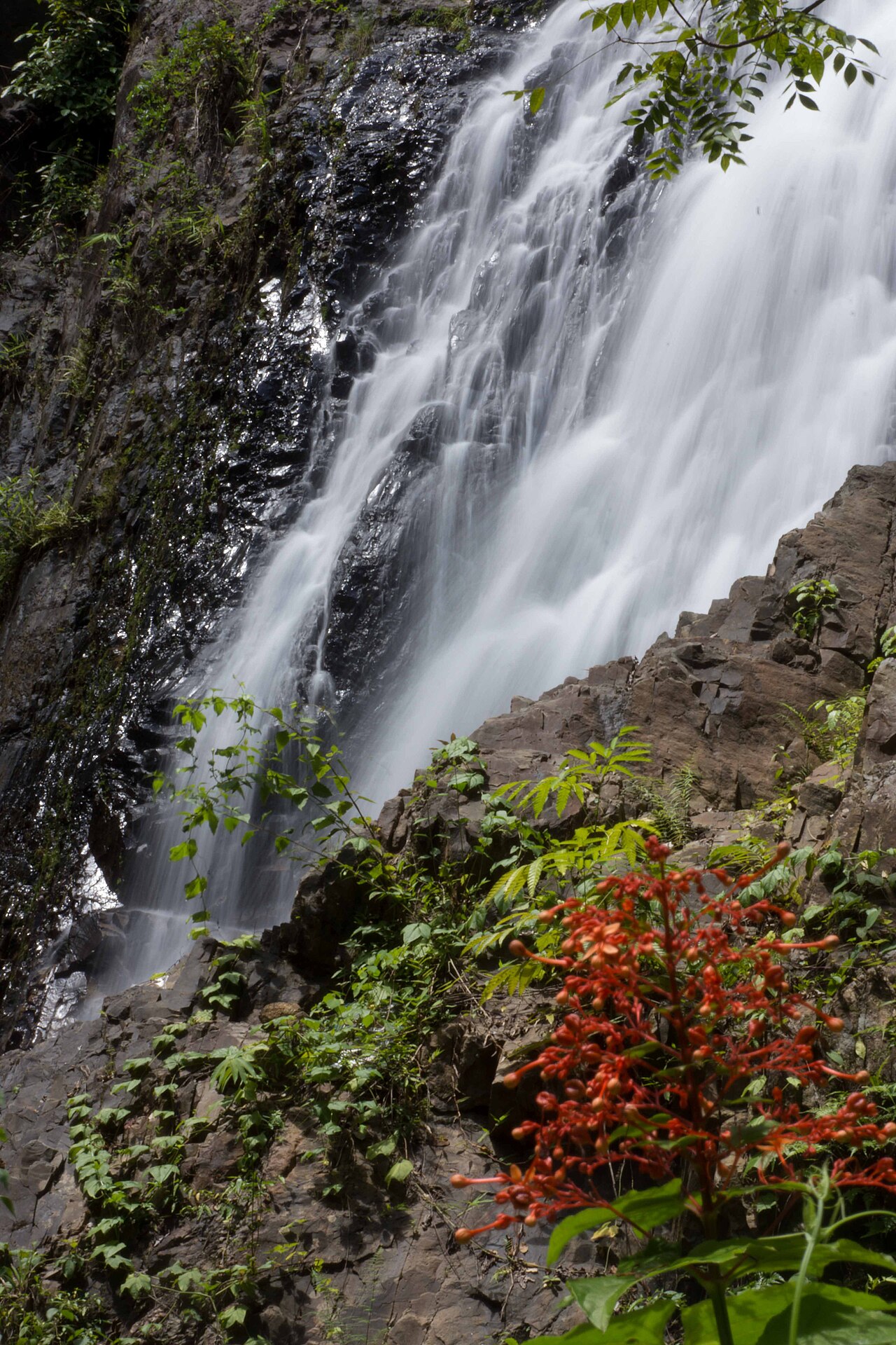 Khao Phanom Bencha National Park — Public Attraction