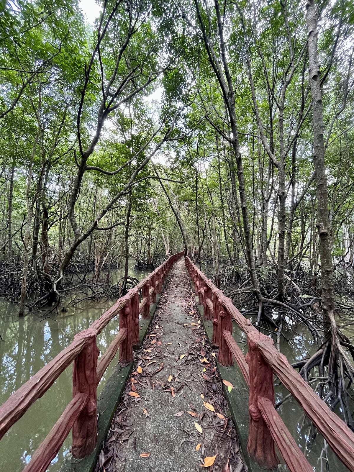 Krabi Urban Forest