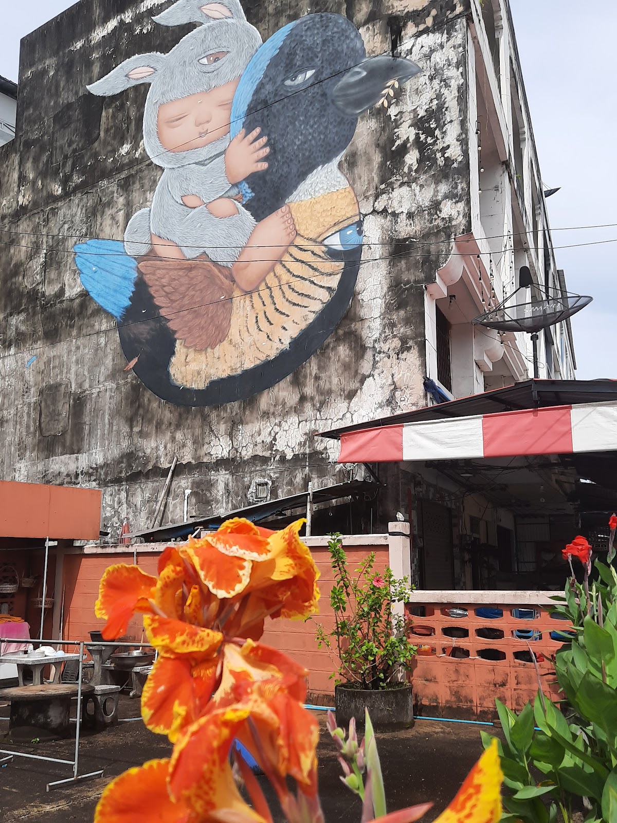 Krabi Street Art : Mardi and Gurney' Pitta